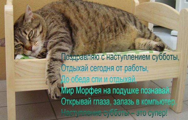 Стихи про выходные