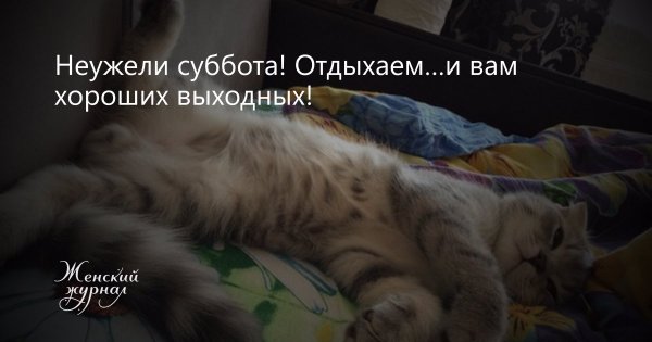 Суббота выходной