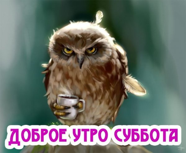 Доброе утро субботы