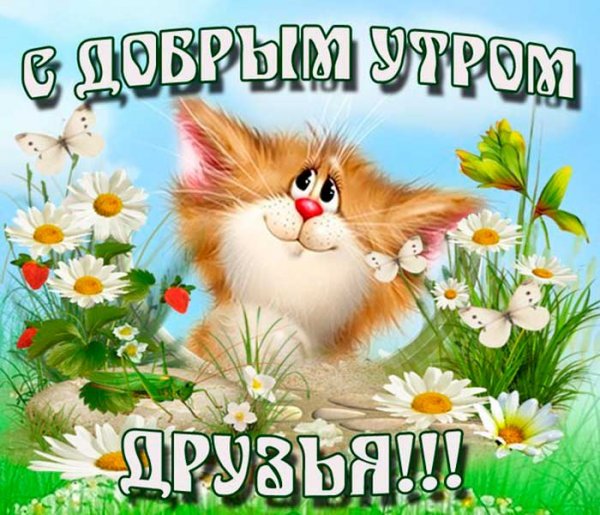 Открытки с добрым утром друзья прикольные