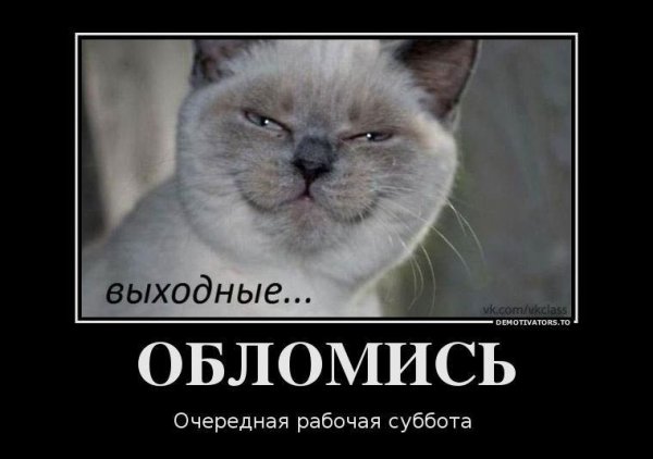 Рабочая суббота