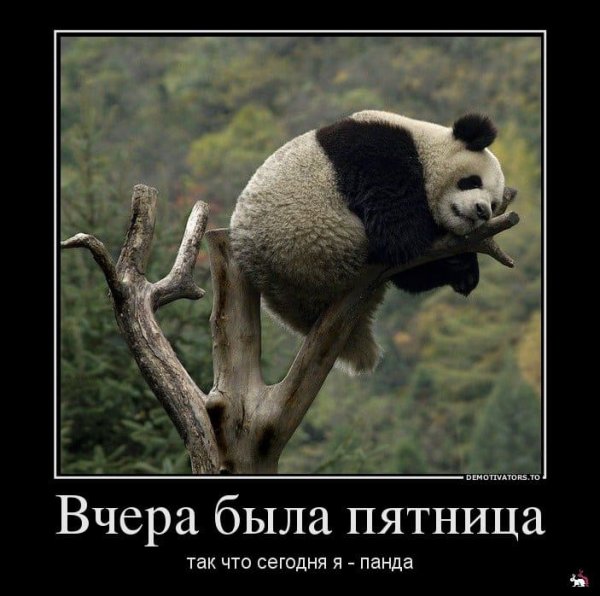 Вчера была пятница