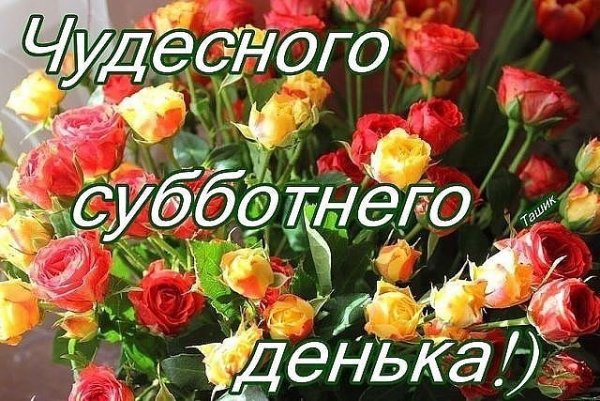 Хорошего субботнего дня