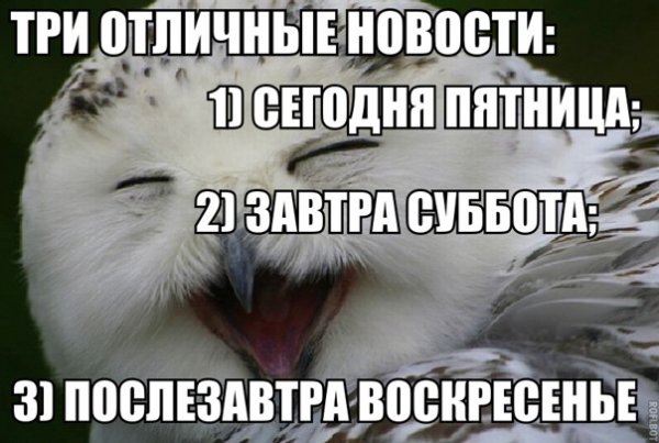 Завтра суббота