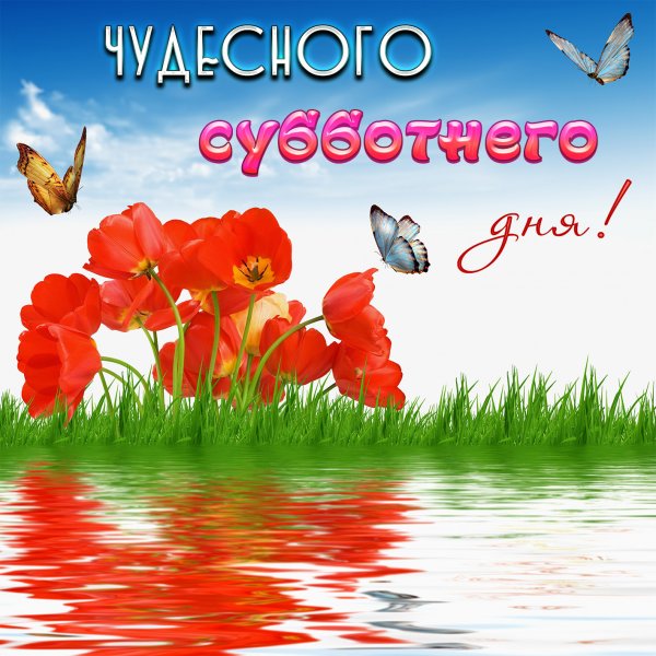 Открытки с субботой прикольные