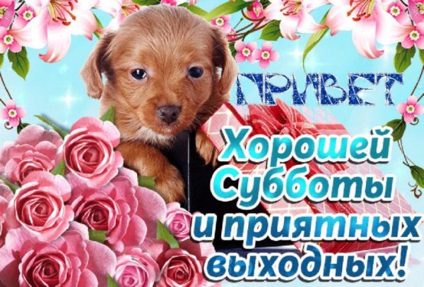 Открытки с добрым субботним утром
