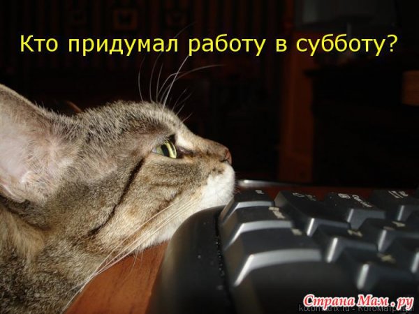 Работа в субботу прикол