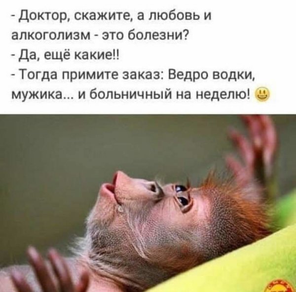 Суббота приколы