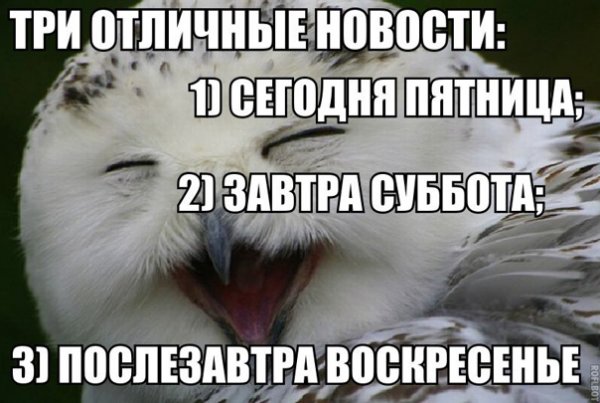 Завтра пятница??? Послезавтра суббота???