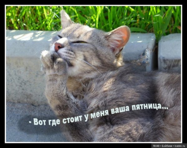 Пятница завтра выходной