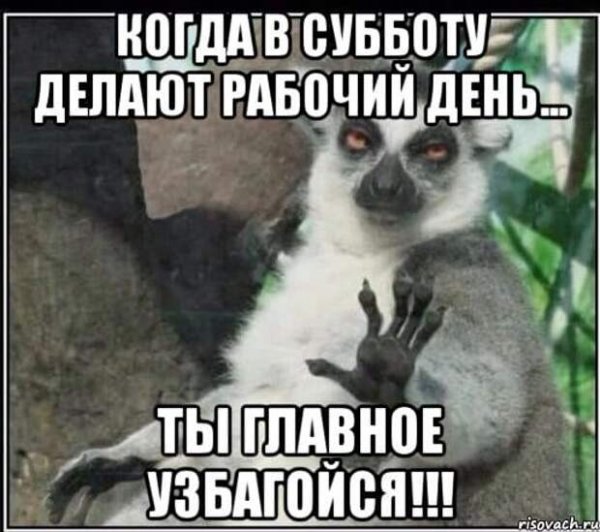 Суббота рабочий день приколы
