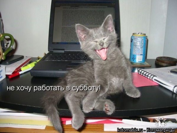 Рабочая суббота юмор