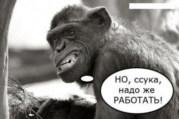Шутки про рабочую субботу