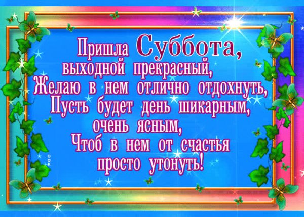 Доброе субботнее утро с животными