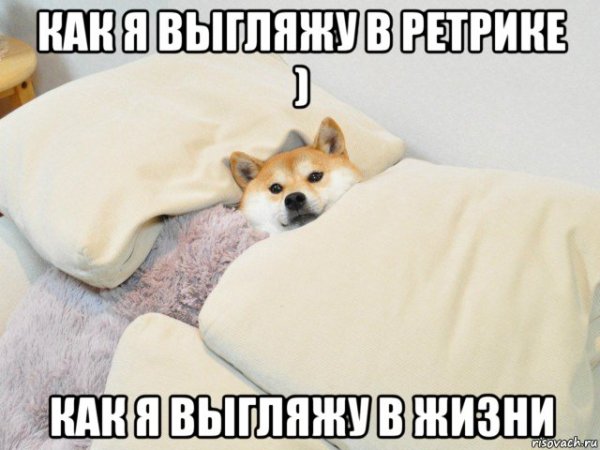 Дай поспать