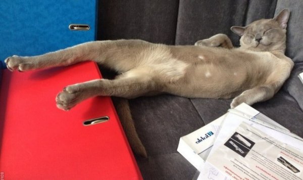 Воскресенье приколы