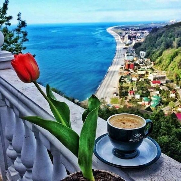 Доброе утро море