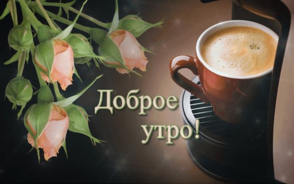 Доброго субботнего утра и хорошего