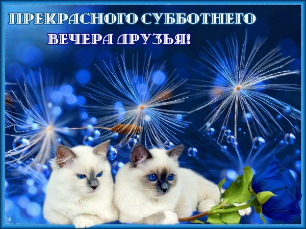 Открытки доброго субботнего вечера
