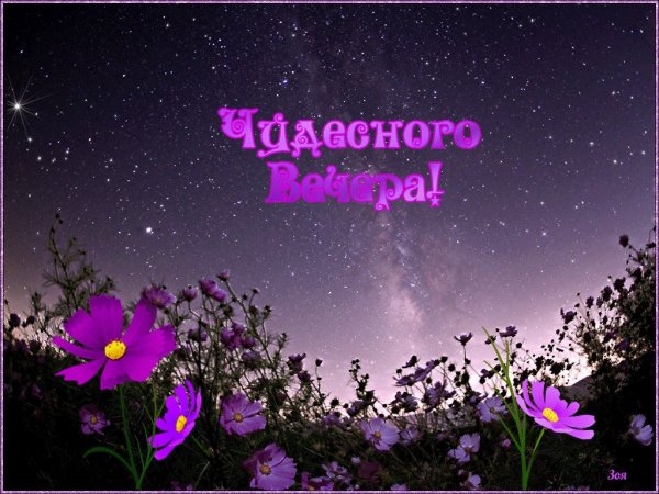 Волшебного вечера и спокойной ночи