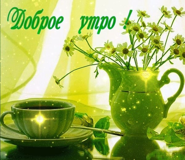 Доброе утро в зеленых тонах