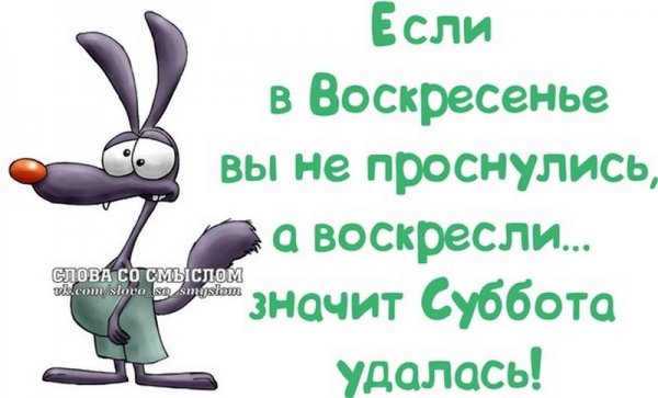 Статусы про воскресенье прикольные
