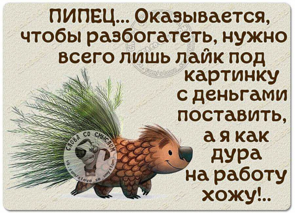 Прикольные фразы про субботу