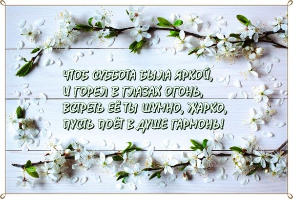 Добрый день среда Весна