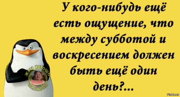 Выходные цитаты смешные