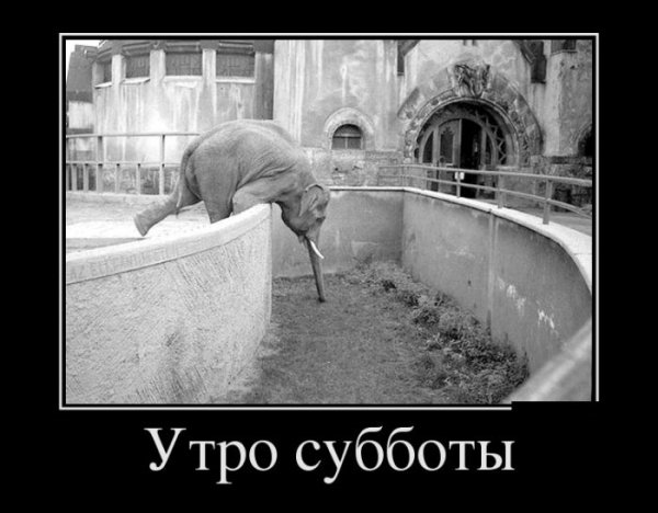 Субботние демотиваторы