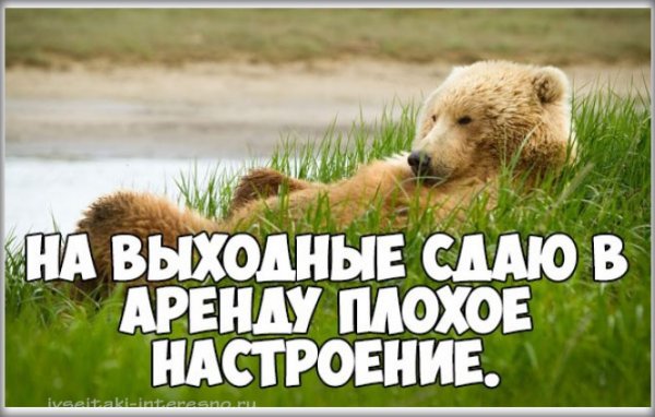 Высказывания про субботу прикольные