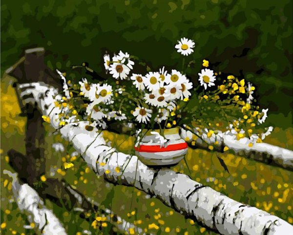 Березы и ромашки