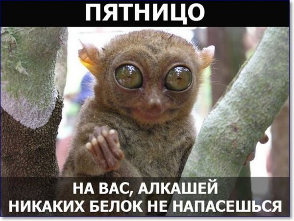 Открытки с пятницей прикольные