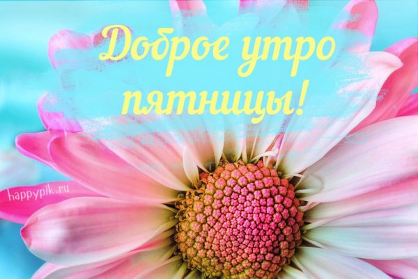 С добрым пятничным утром