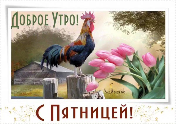 С утром пятницы