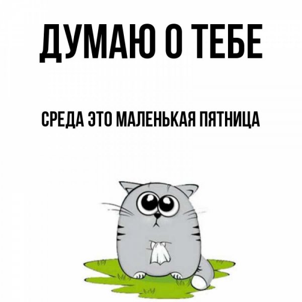 Среда этом аленькач пятница