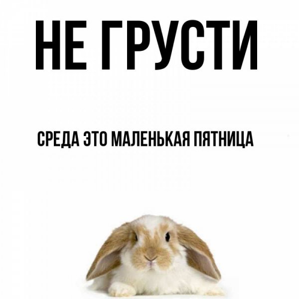Среда маленькая пятница