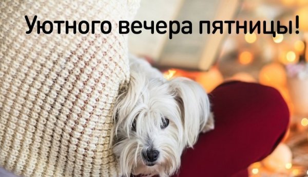 Приятного вечера пятницы