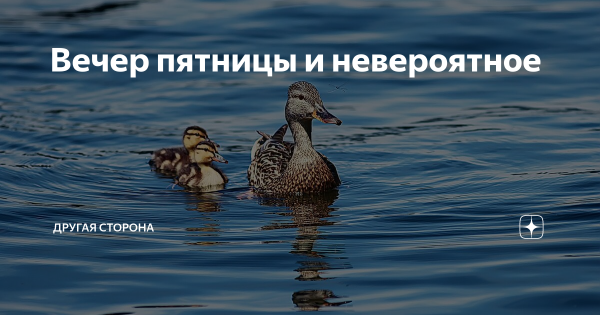Вечер пятницы картинки