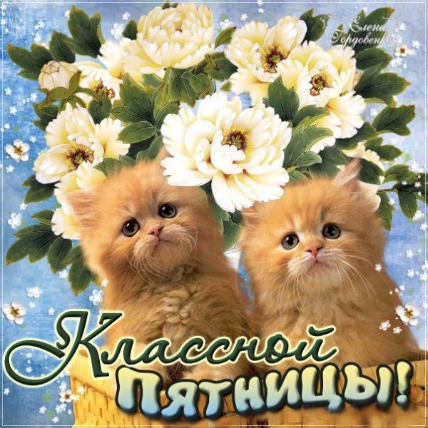 Пятница открытки красивые