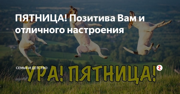 Пятница позитива вам и отличного настроения
