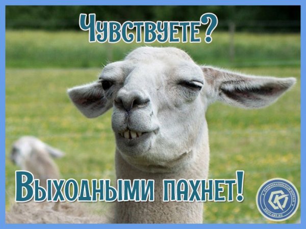 Скоро выходные