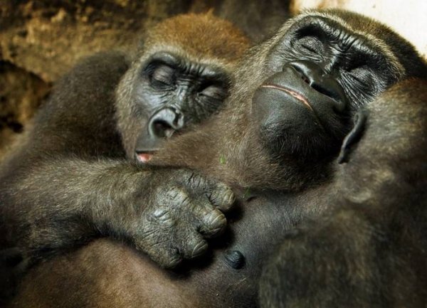 Пятница картинки прикольные для поднятия настроения