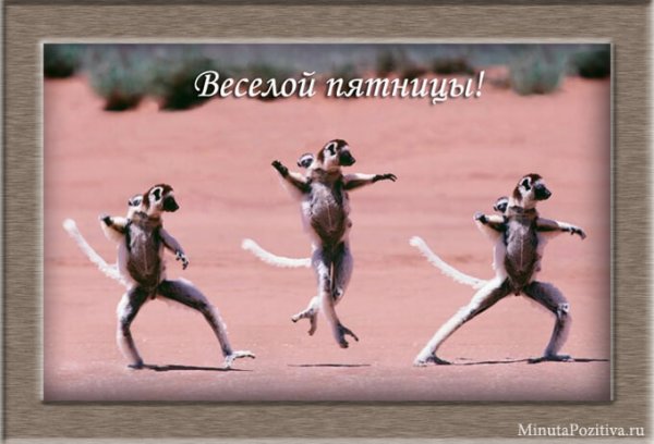Пятничного настроения прикольные