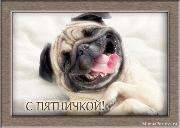 Настроение пятничка