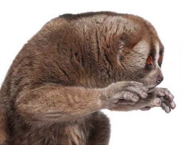 Пятница пора домой