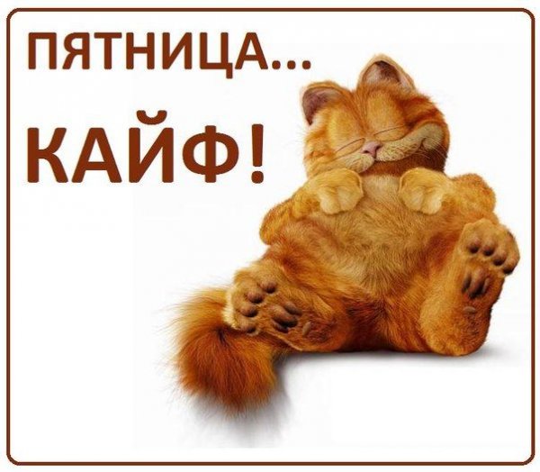 Смешные открытки с пятницей