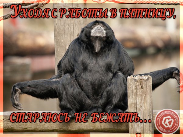 Смешное про пятницу