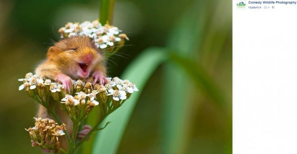 Пятница позитивчик