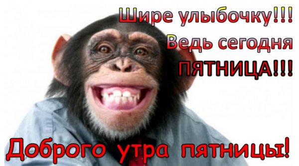 Доброе утро пятницы прикольные